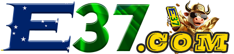 e37 Logo
